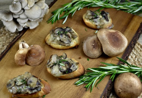 Wild Mushroom Crostini